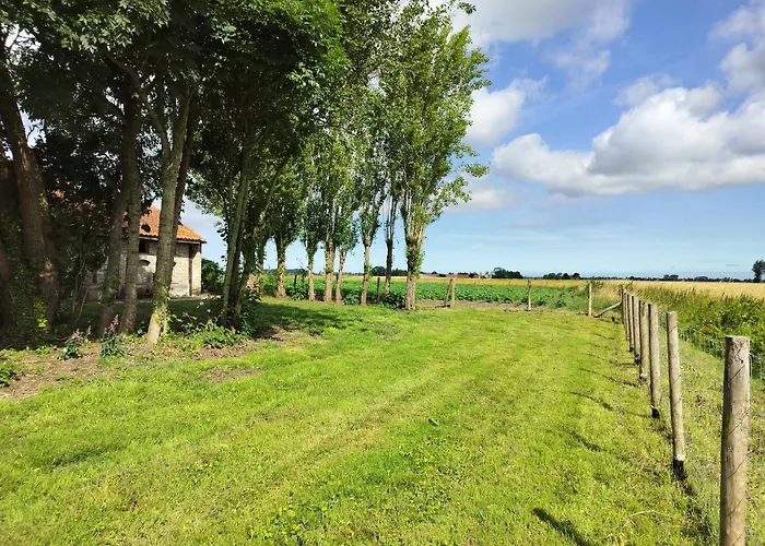 De Burg
